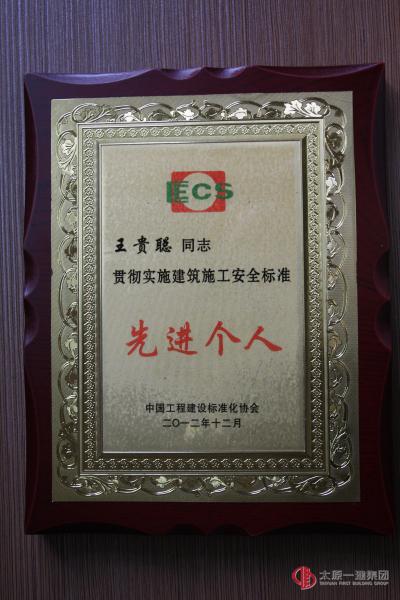 王贵聪被授予贯彻实施建筑施工安全标准先进个人